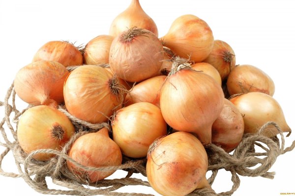 Гидра onion